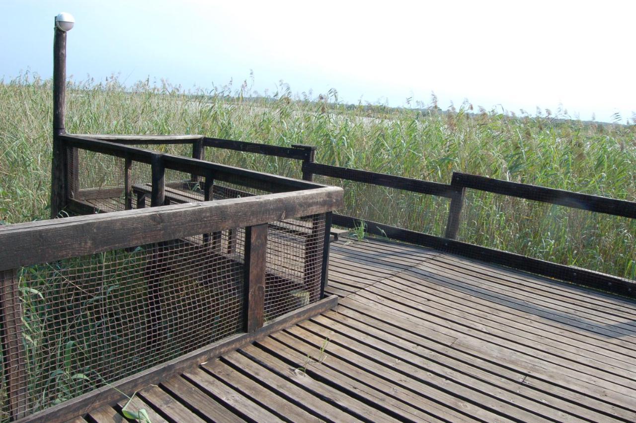 Ferienwohnung 28 And 29 The Bridge Saint Lucia Estuary Exterior foto