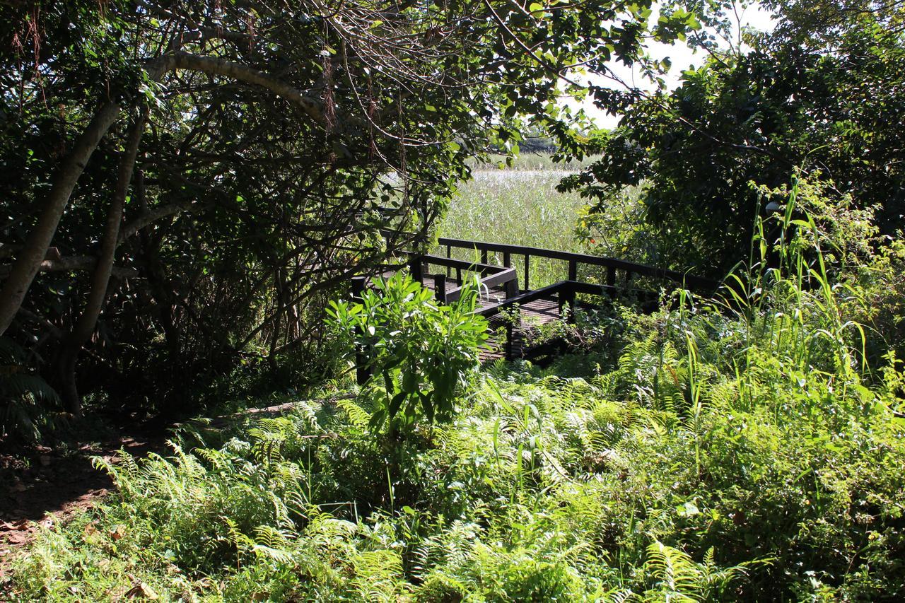 Ferienwohnung 28 And 29 The Bridge Saint Lucia Estuary Exterior foto